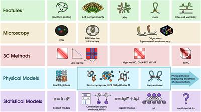 Predicting Genome Architecture: Challenges and Solutions